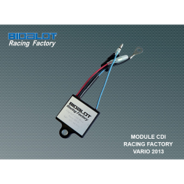 Module CDI Racing Factory Vario 2013