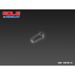 Vis Tête H M10x20 Pas1.25