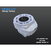 Cylindre Nu Racing Factory WR DERBI Euro3