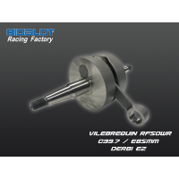 Vilebrequin RF50WR DERBI Euro2 C39.7 E85