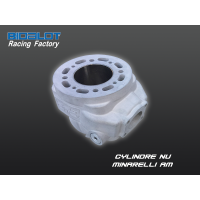 Cylindre Nu Racing Factory 90/96 WR MINARELLI AM