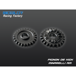Pignon de Kick RF-WR MINARELLI AM6